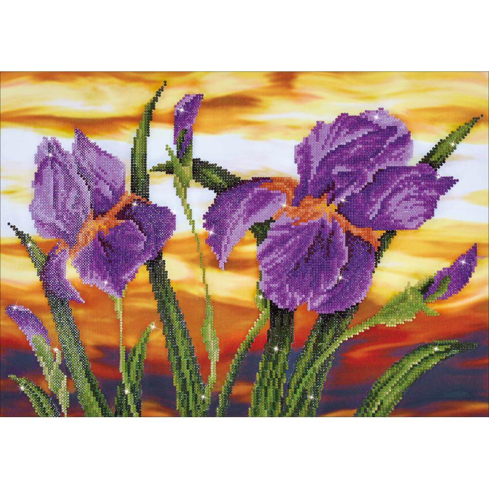 Iris Sunset Diamond Art Kit