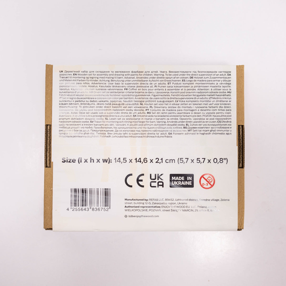 Wooden 3D DIY Painting Kit Space (B2B)