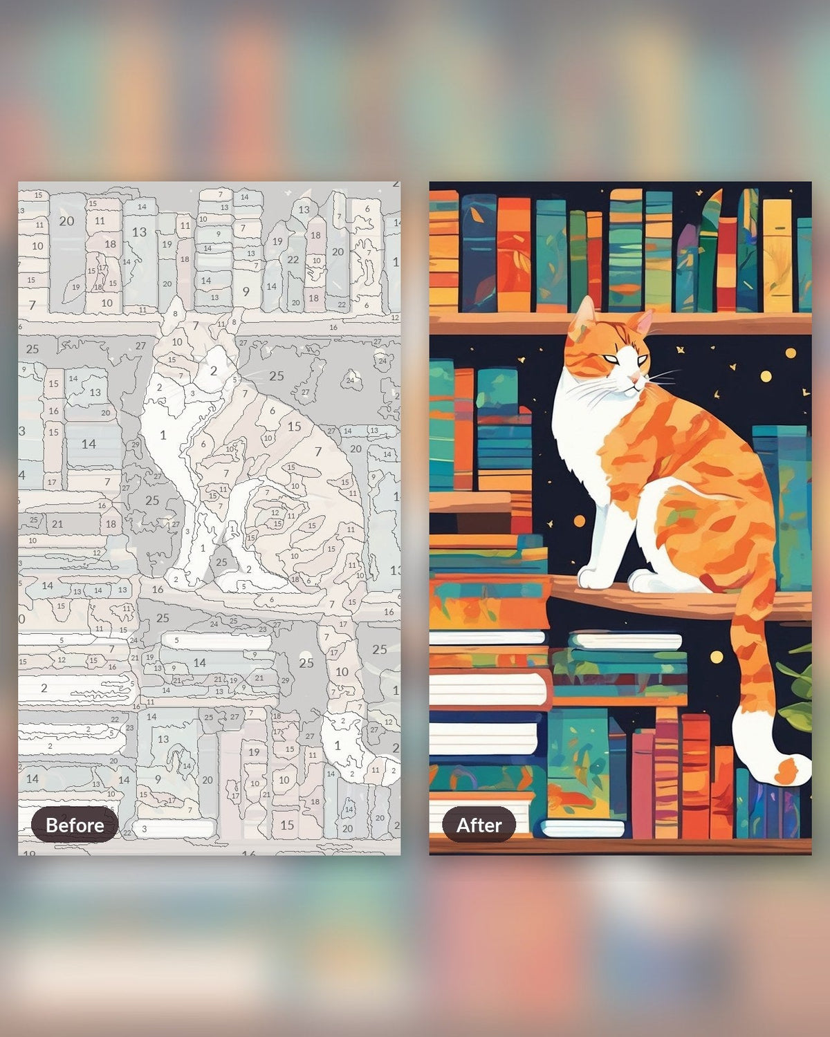 Bookshelf Cat | Paint by Numbers Kit for Adults