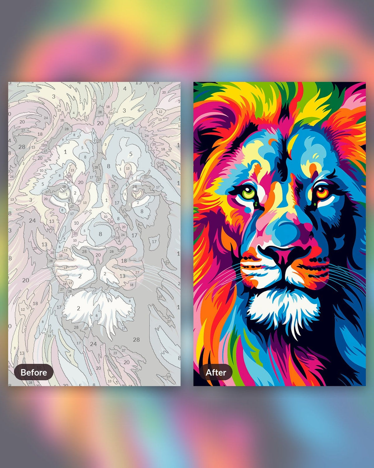 Colorful Lion | Paint by Numbers Kit for Adults
