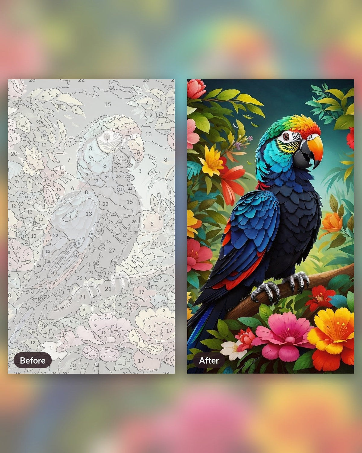 Colorful Parrot | Paint by Numbers Kit