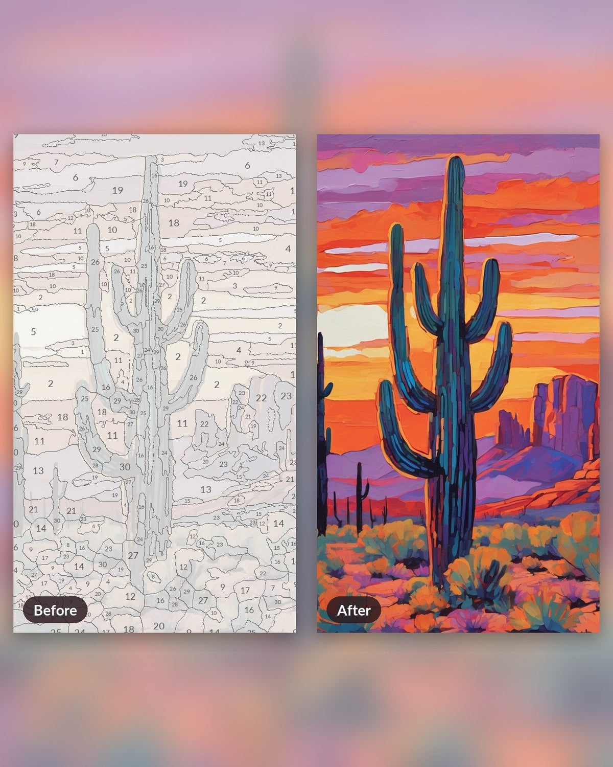 Desert Cactus Sunset | Paint by Numbers Kit for Adults