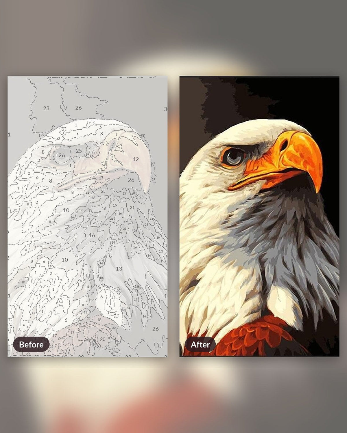 Eagle The Bird | Paint by Numbers Kit for Adults