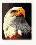 Eagle The Bird | Paint by Numbers Kit for Adults
