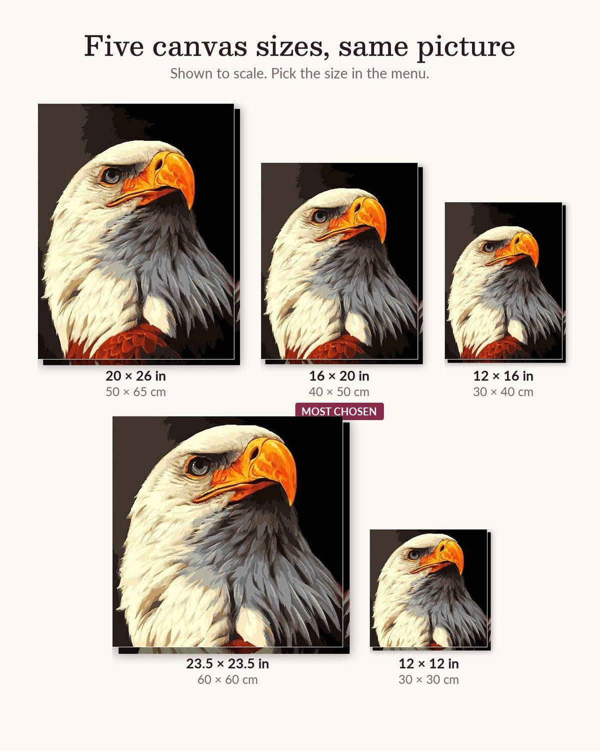 Eagle The Bird | Paint by Numbers Kit for Adults
