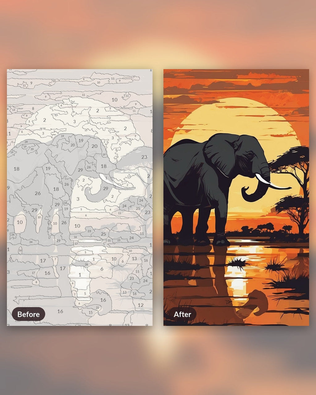 Elephant at Sunset | Paint by Numbers Kit