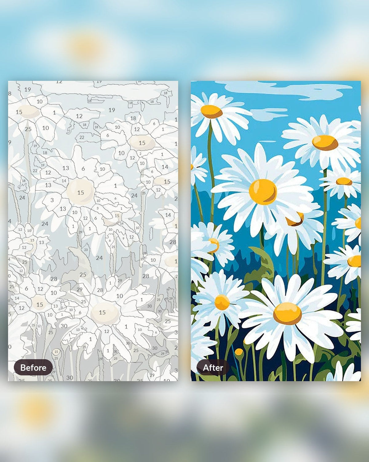 Elysian Daisy Field | Paint by Numbers Kit