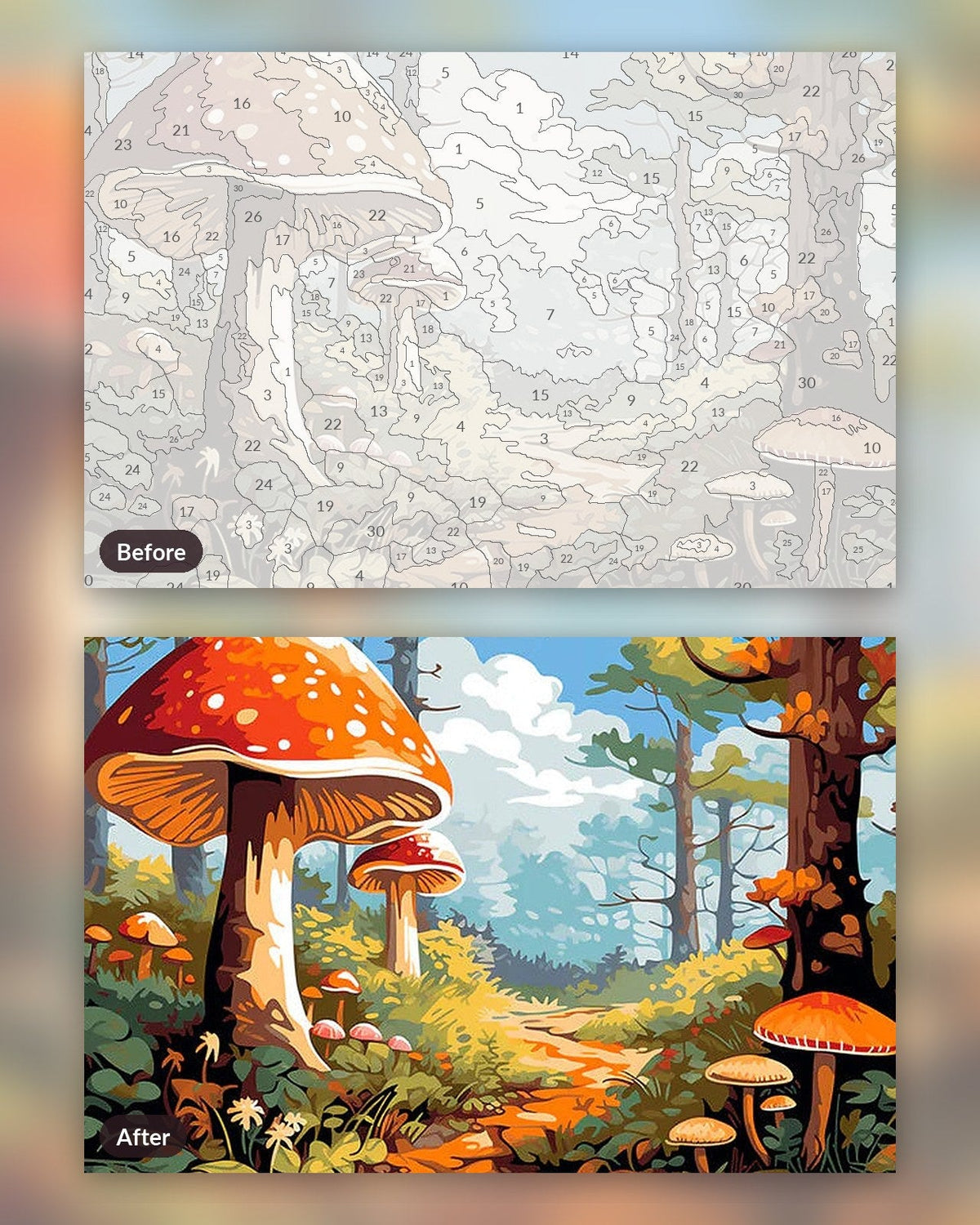 Enchanted Forest Trail | Paint by Numbers Kit for Adults