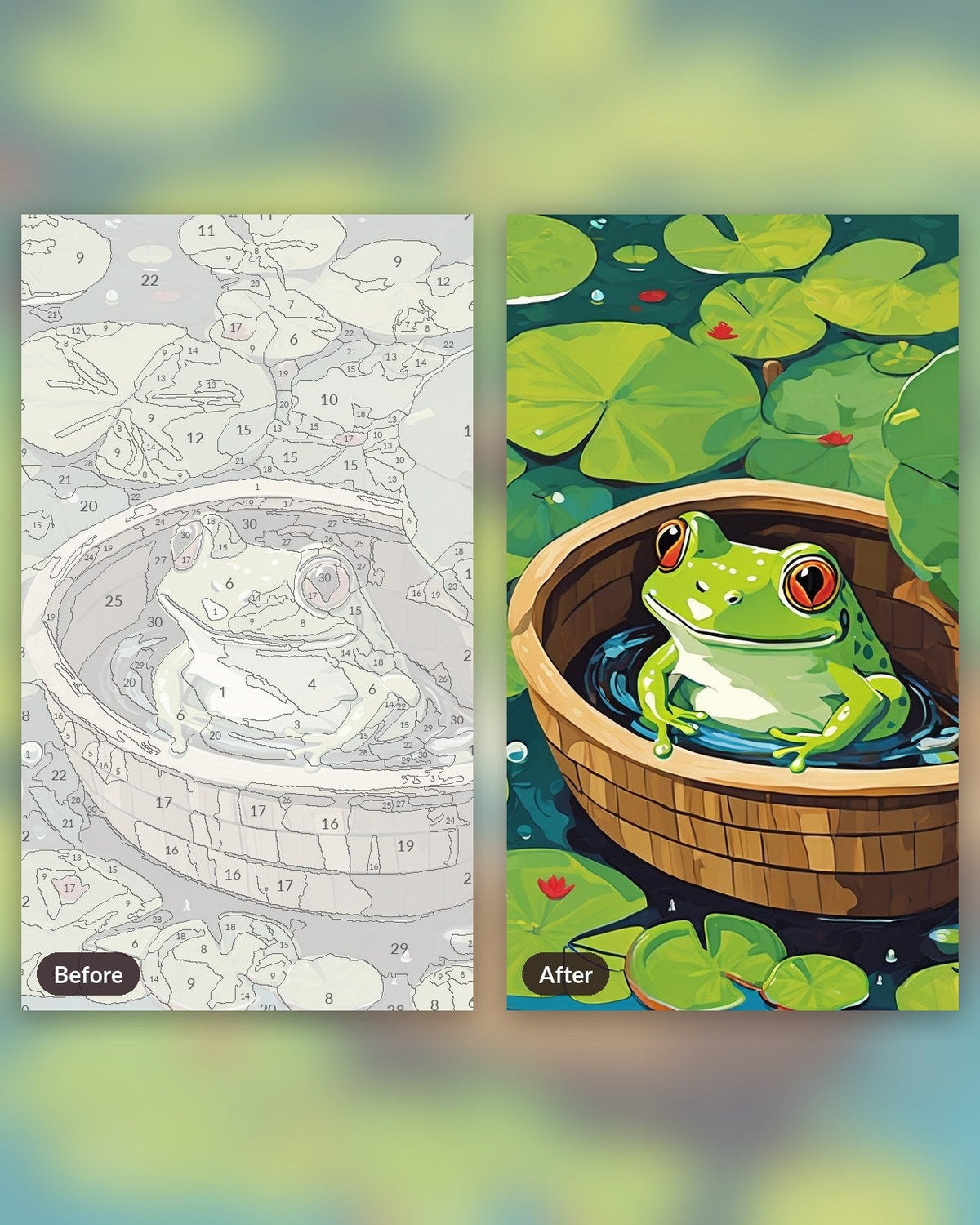 Frog Taking a Bath | Paint by Numbers Kit