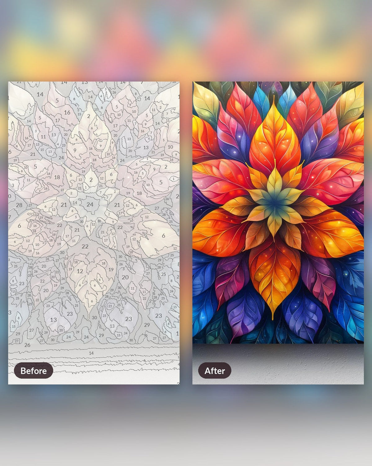 Galactic Petals | Paint by Numbers Kit