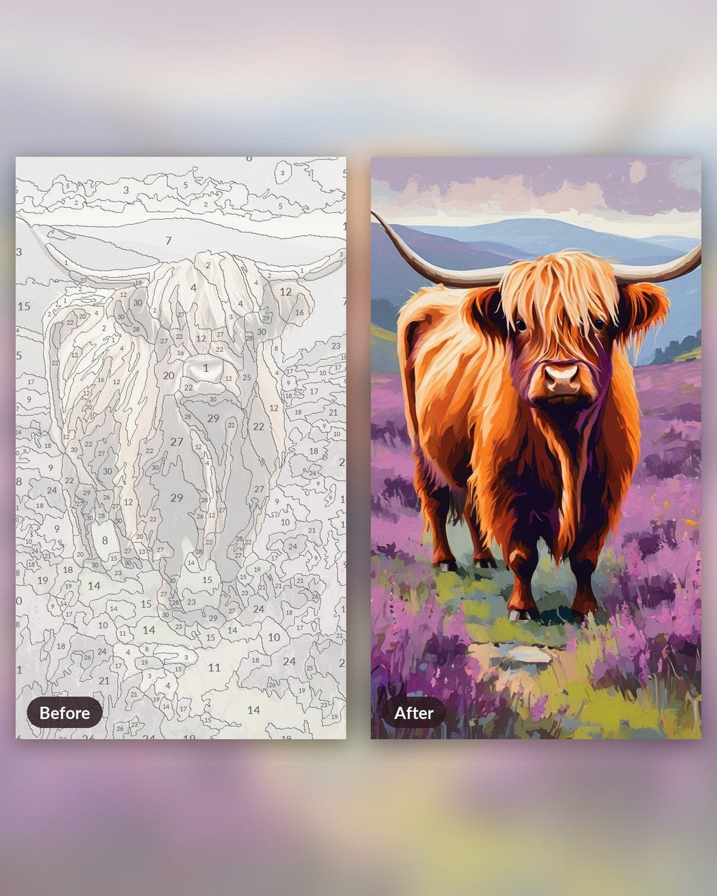 Highland Cow in the Heather | Paint by Numbers Kit