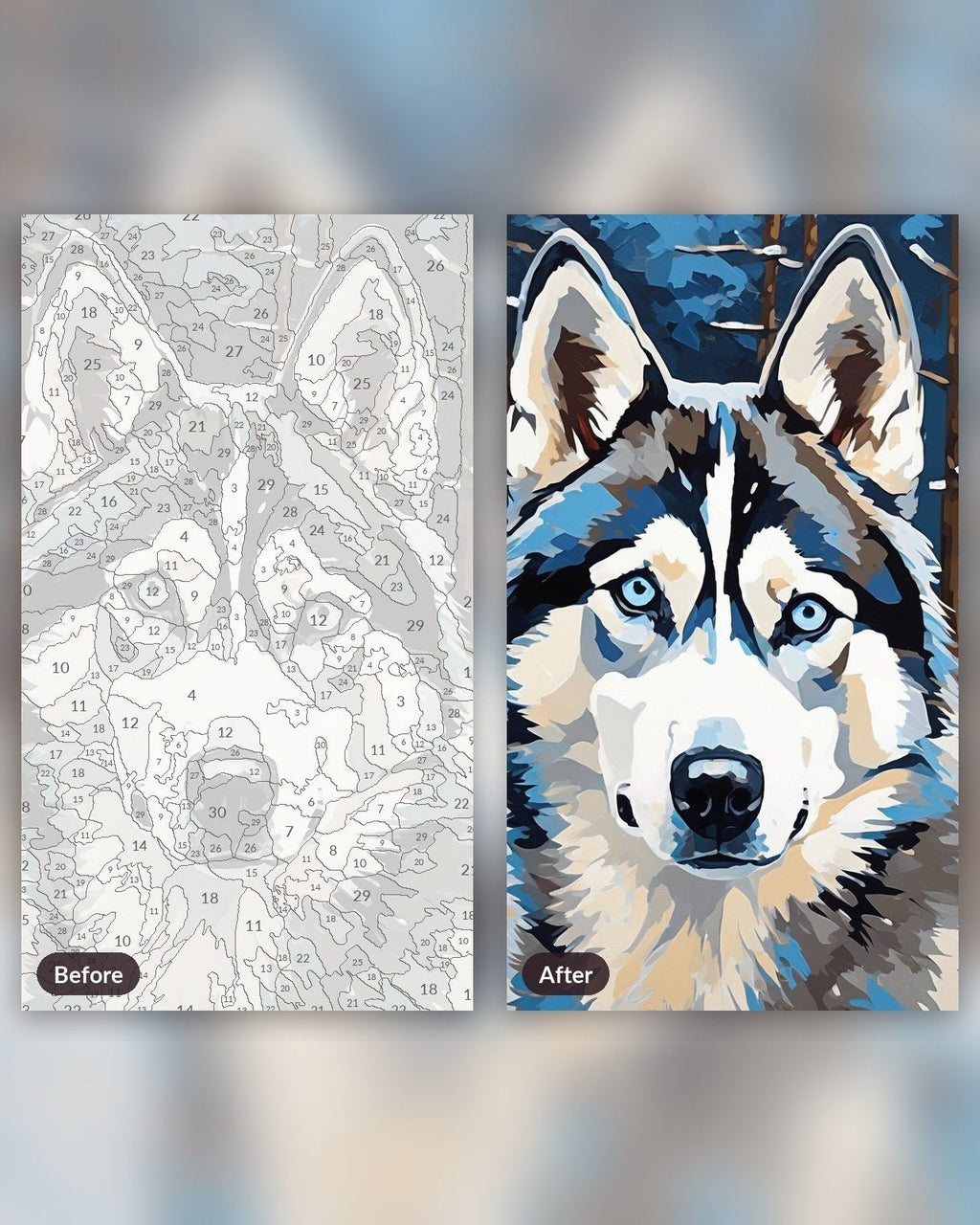 Husky in the Snowfall | Paint by Numbers Kit