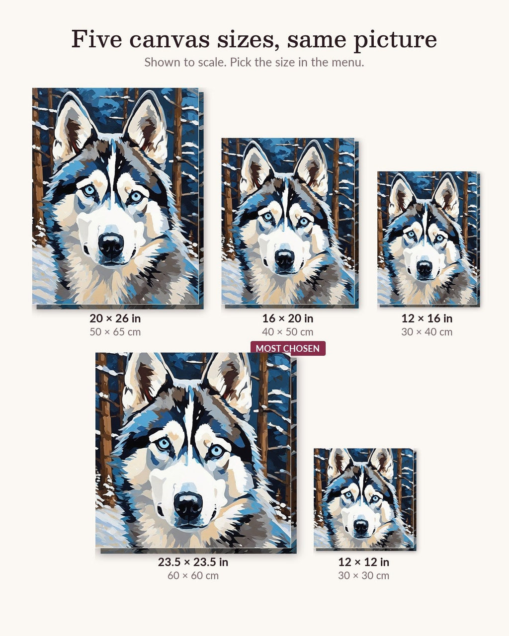 Husky in the Snowfall | Paint by Numbers Kit