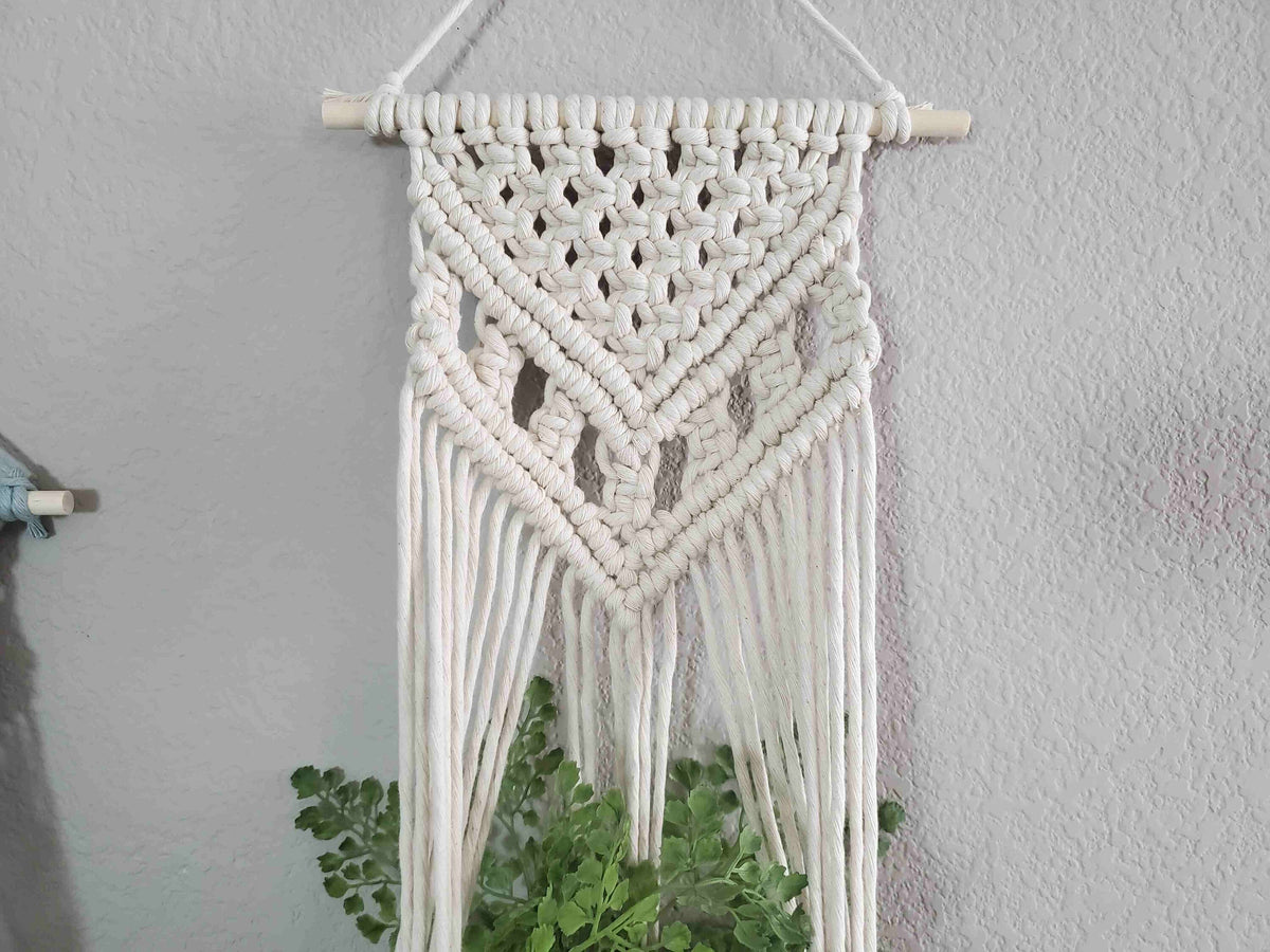 Macrame plant hanger DIY craft kit.