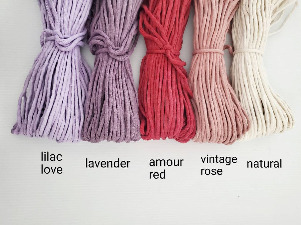 Beginner macrame heart wall hanging DIY craft kit.