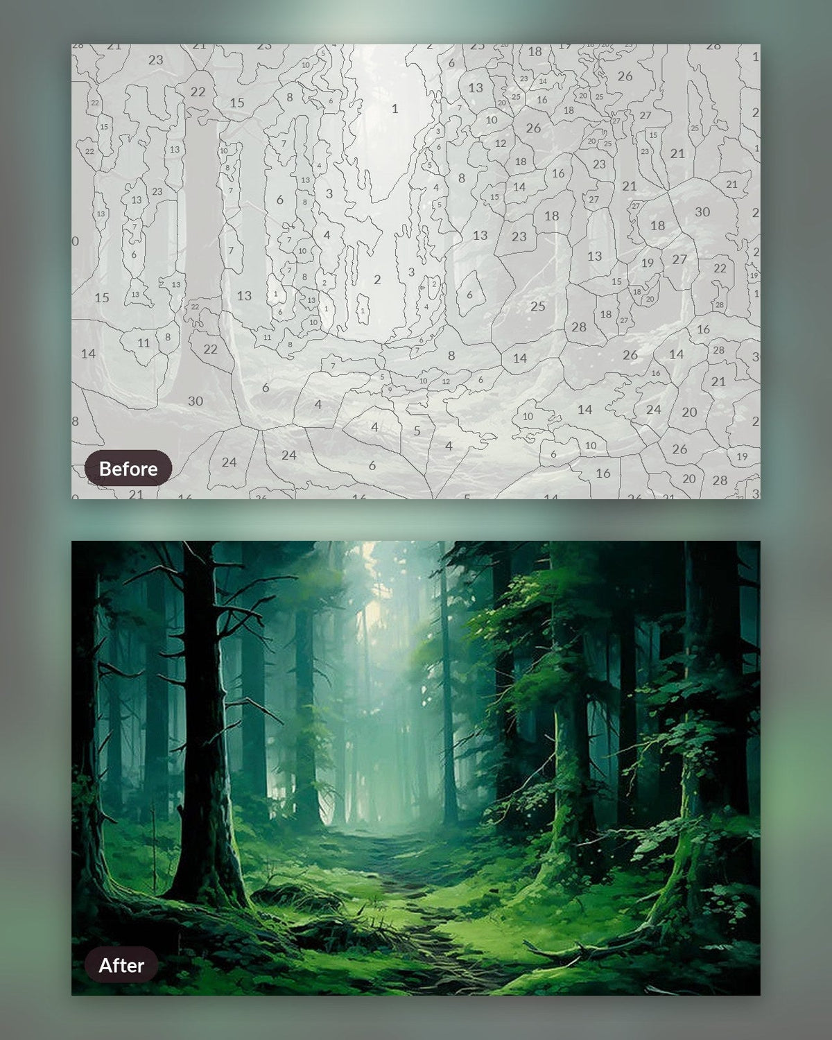 Misty Forest | Paint by Numbers Kit for Adults