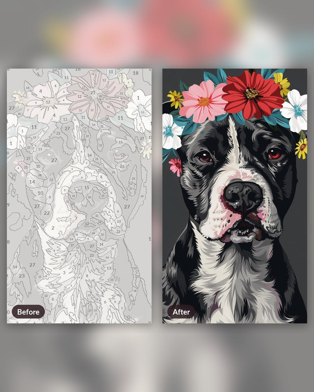 Noble Pitbull | Paint by Numbers Kit for Adults