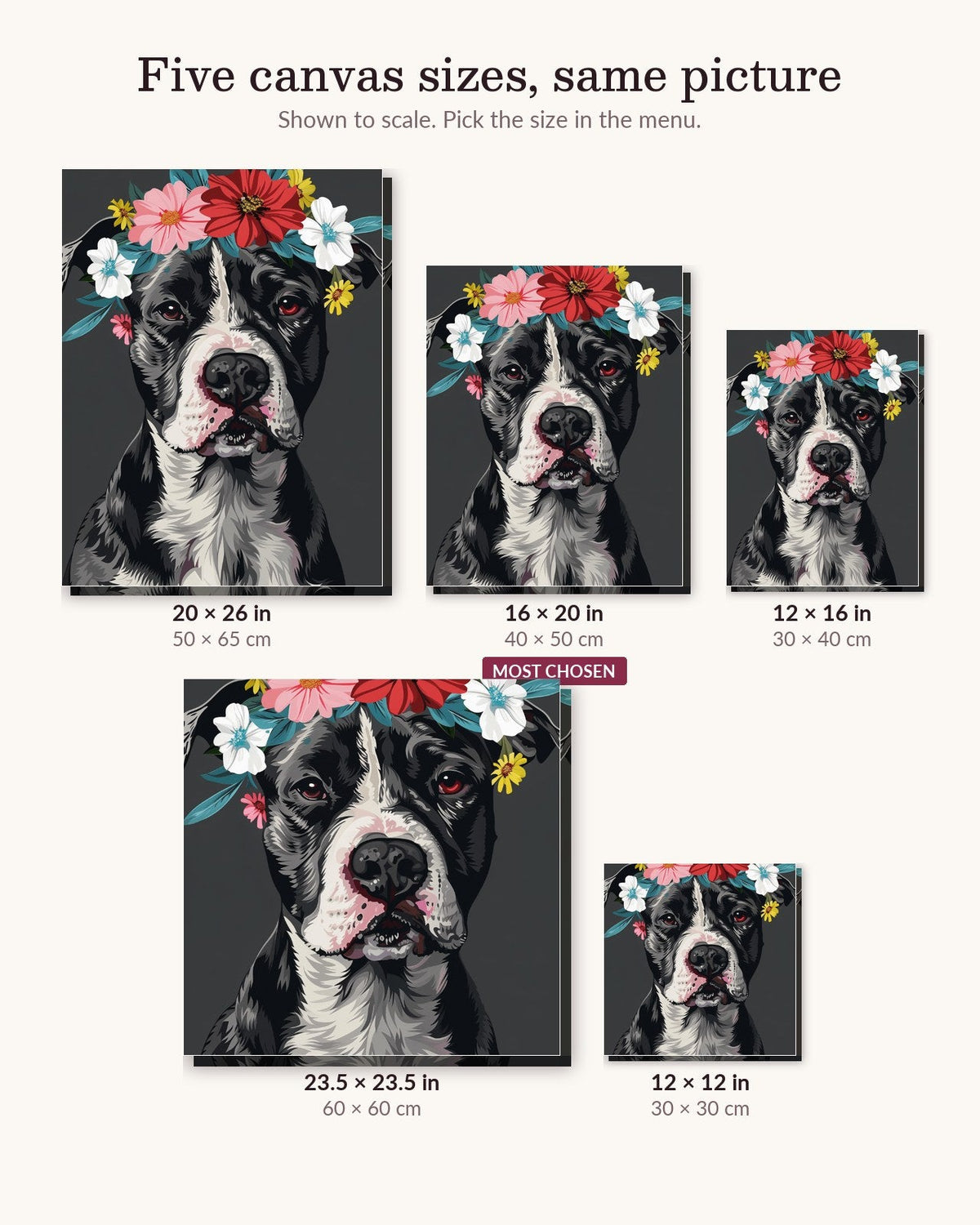 Noble Pitbull | Paint by Numbers Kit for Adults