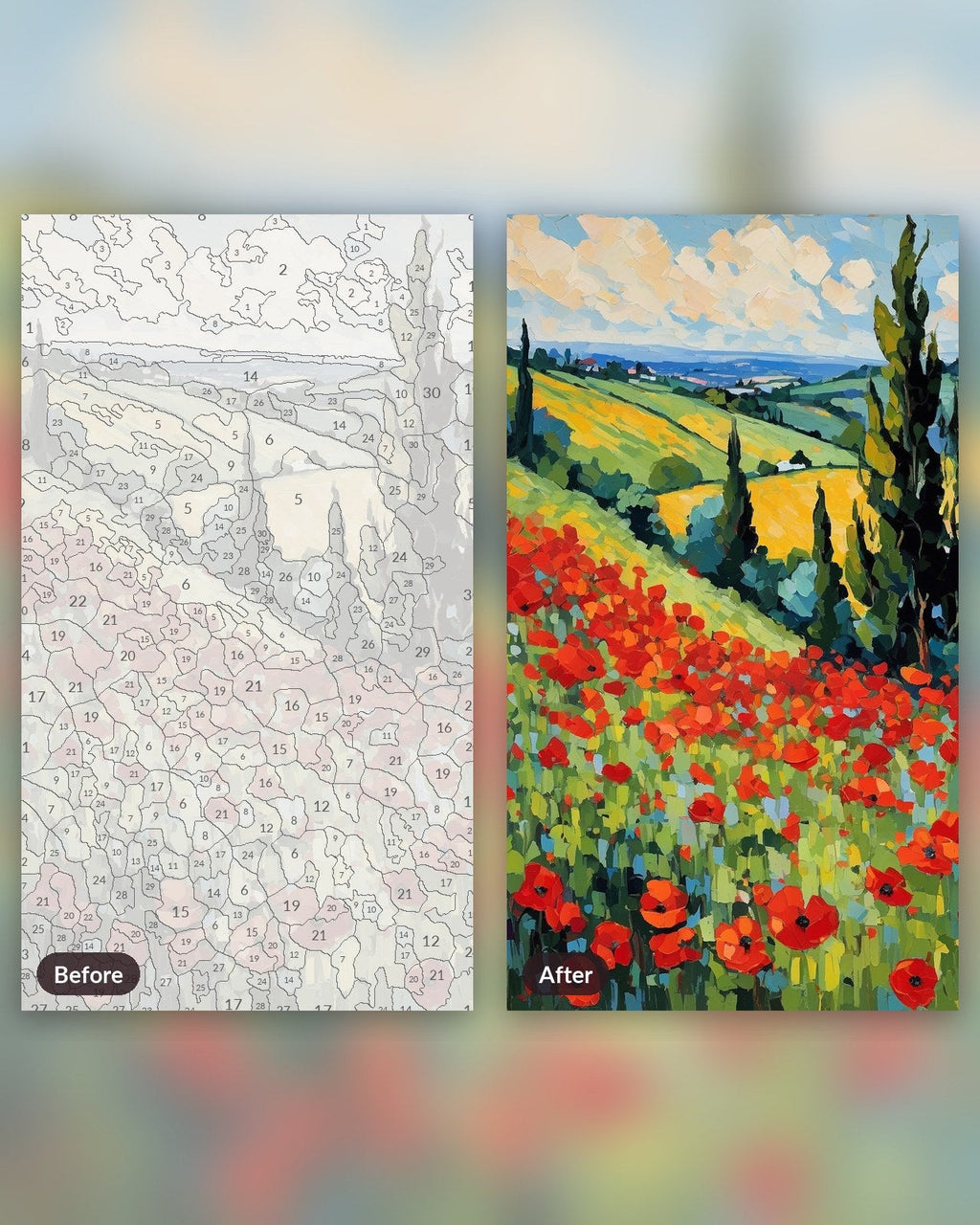 Poppy Field after Monet | Paint by Numbers Kit