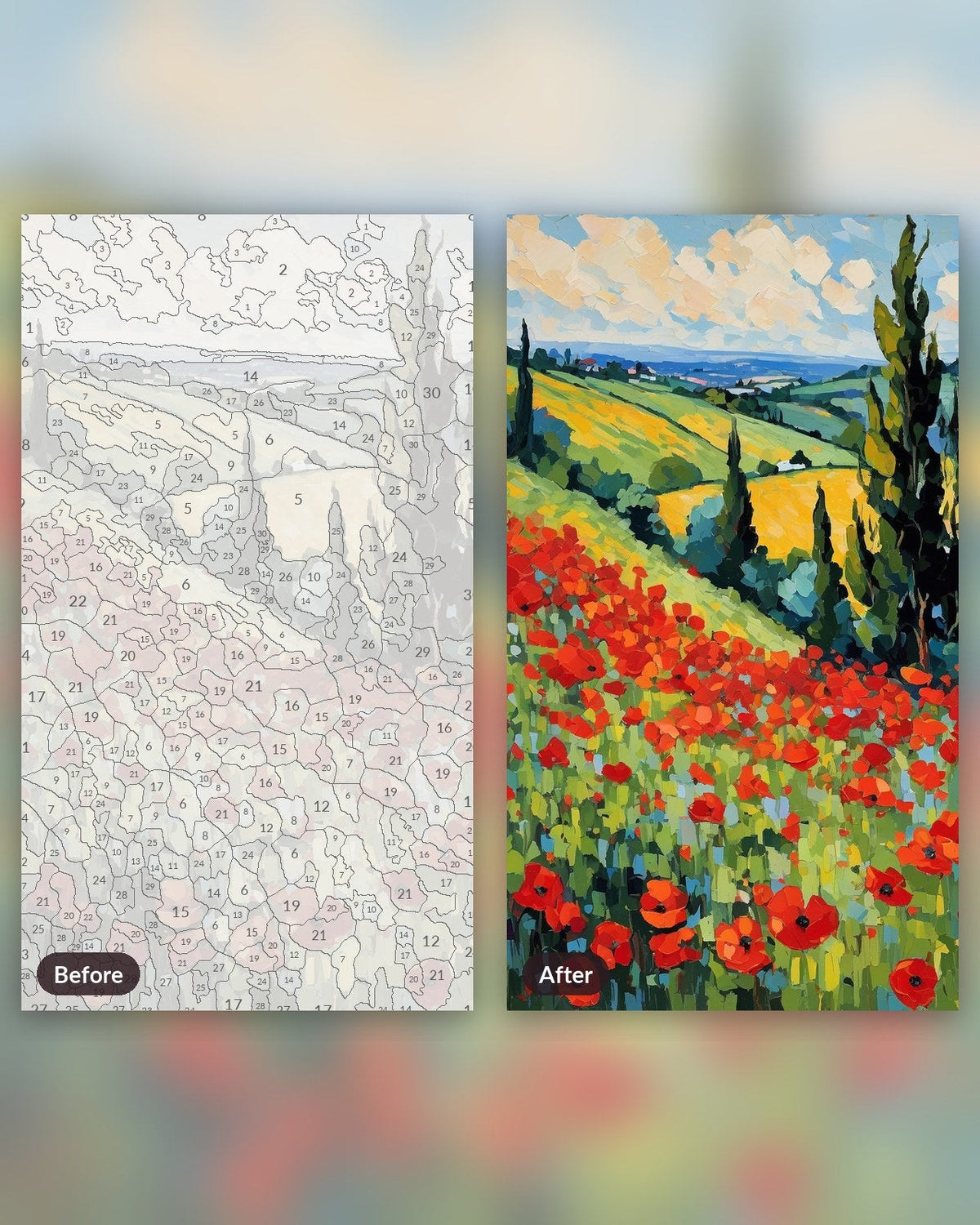 Poppy Field after Monet | Paint by Numbers Kit