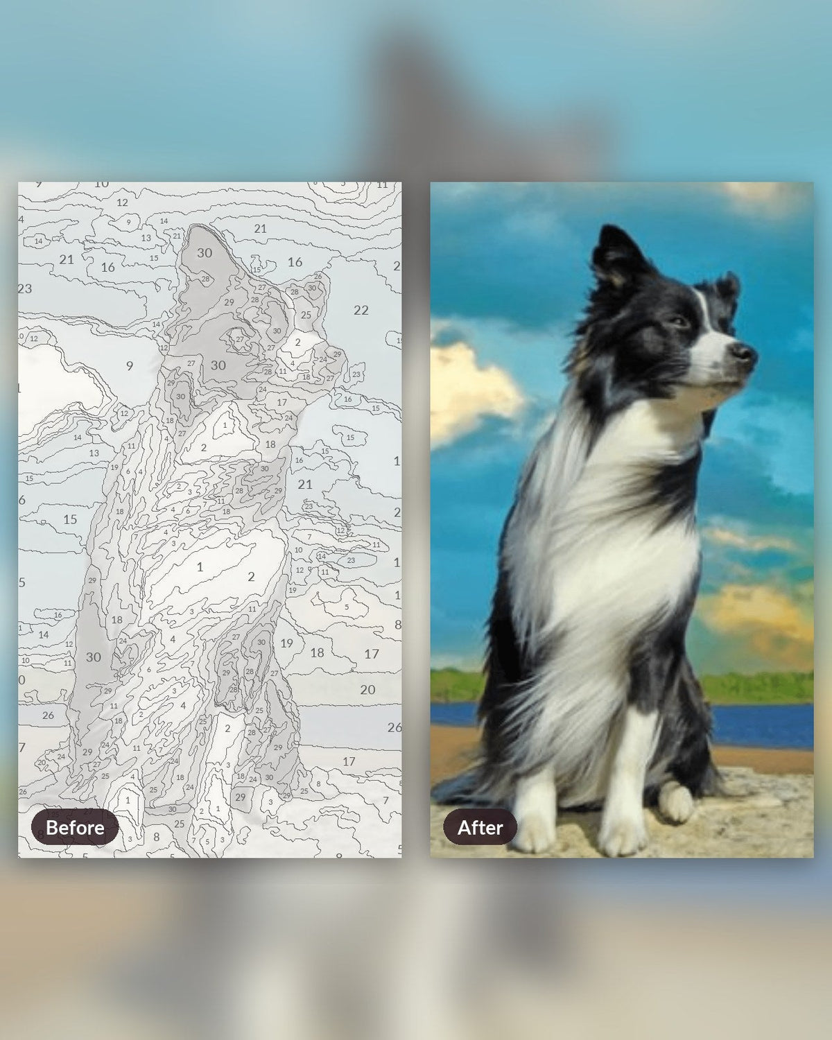 Quiet Dog | Paint by Numbers Kit