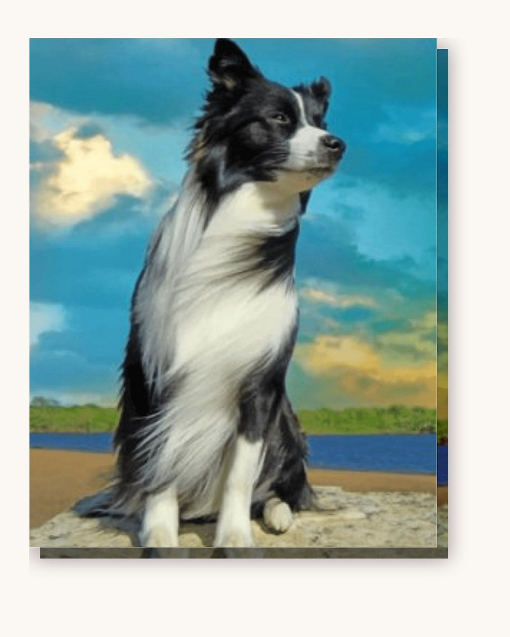 Quiet Dog | Paint by Numbers Kit