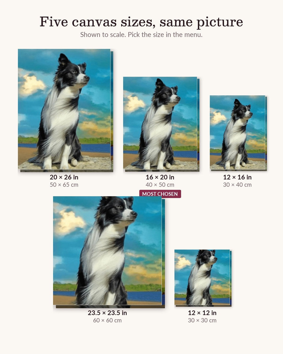 Quiet Dog | Paint by Numbers Kit