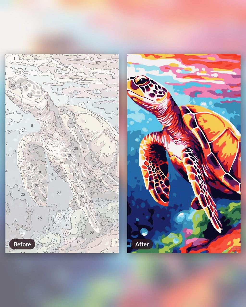 Vibrant Turtle | Paint by Numbers Kit